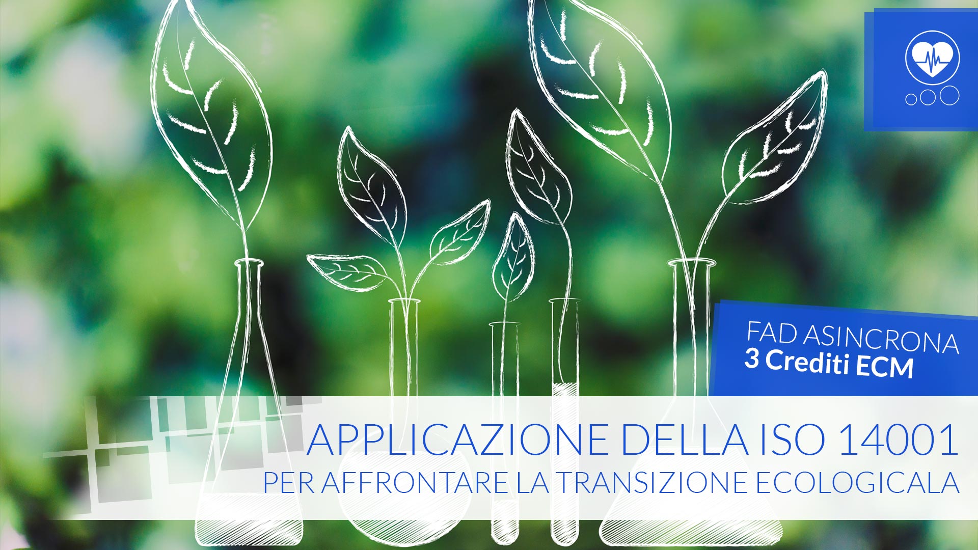 Applicazione della ISO 14001 per affrontare la transizione ecologica