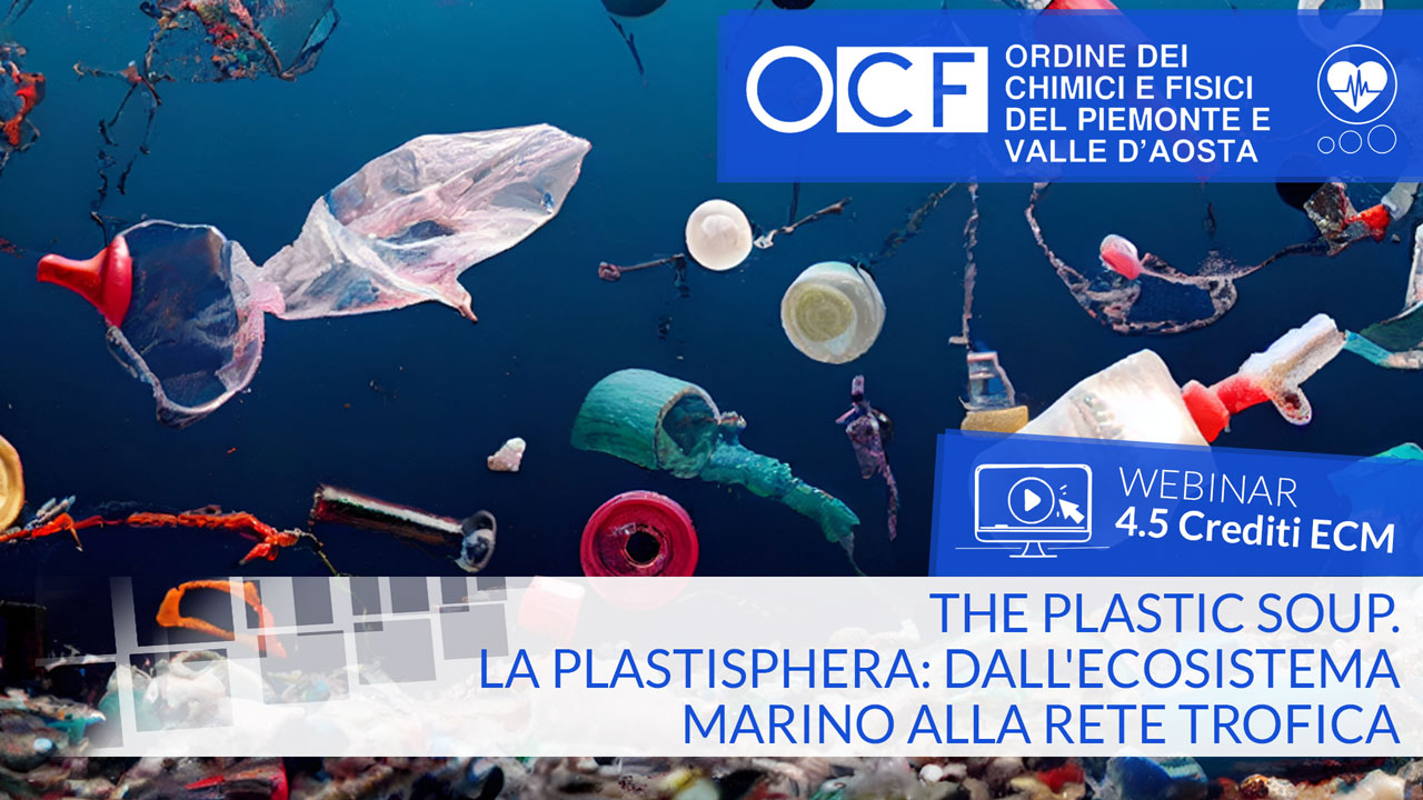 The Plastic Soup. La Plastisphera: dall'ecosistema marino alla rete trofica